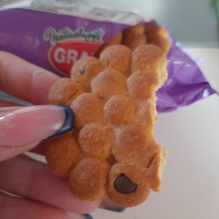 photo of Granix Frutigran Galletas con Chips De Chocolate shared by @rochyalmendra on  02 Oct 2022 - review