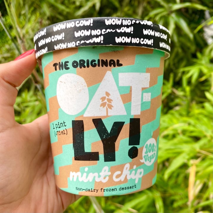 review photo of Oatly Mint Chip Non-dairy Frozen Dessert shared by @alejaduquev on 27 Jul 2021 - review
