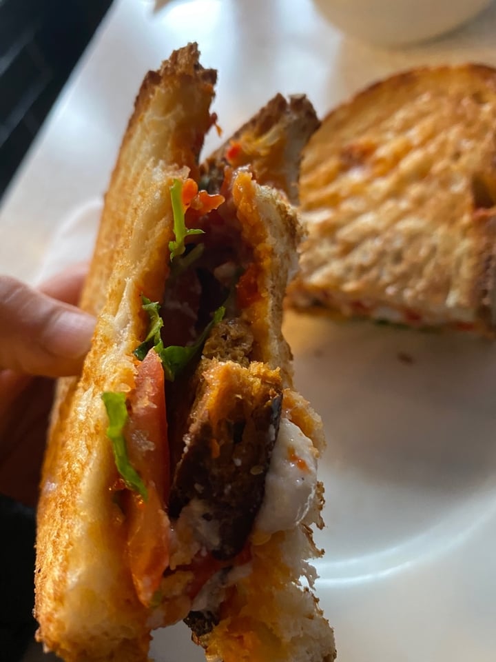review photo of Moonlight Vulture Seitan’s Little Helper shared by @sirenaterrenal on 02 Feb 2020 - review