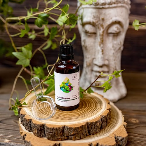 Adaptogeny, 100% naturalne ekstrakty roślinne, płyn 50 ml