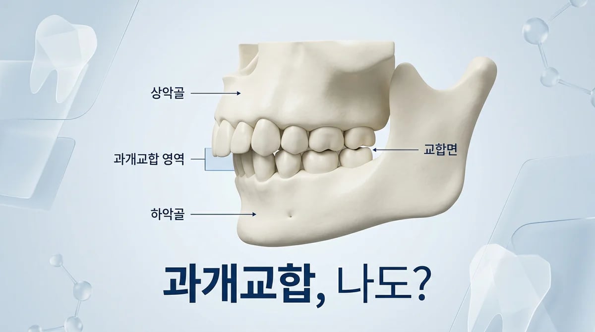 과개교합 자가진단: 내 치아 상태, 5가지 기능 점검으로 확인하기