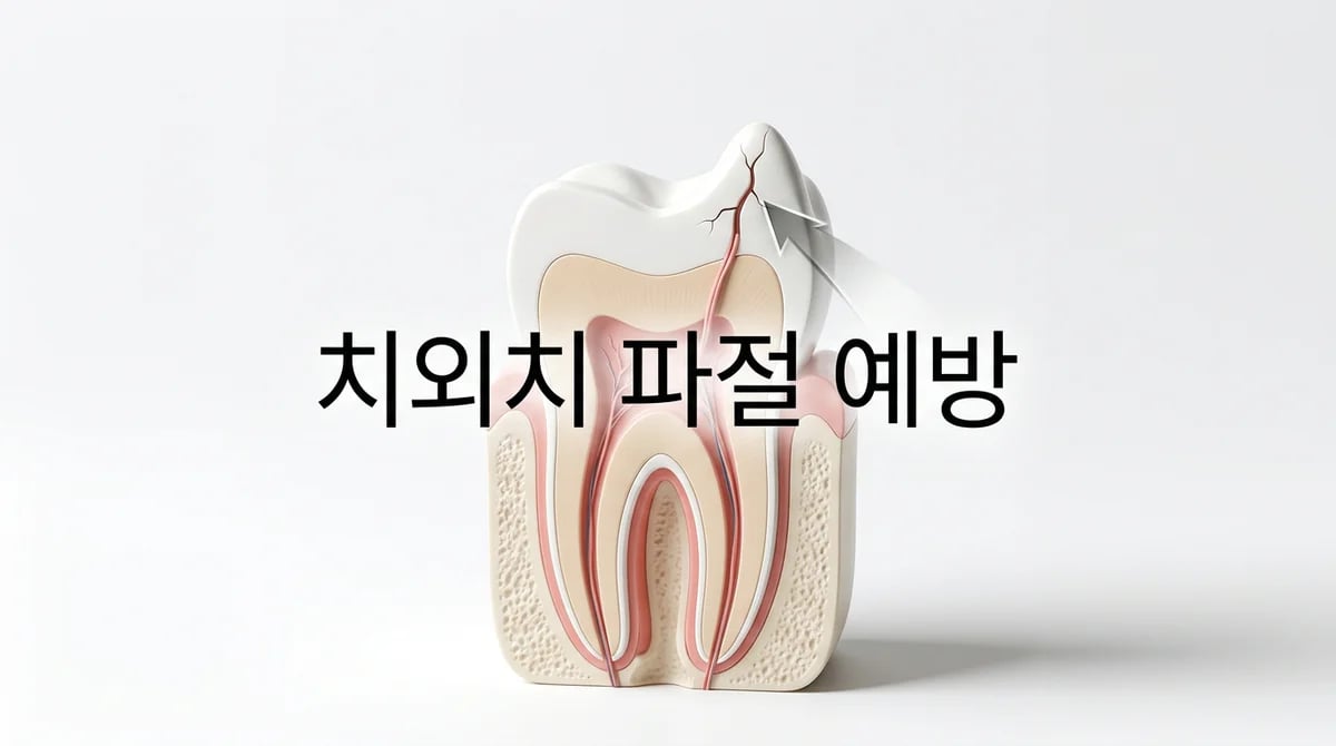 치외치(Dens Evaginatus) 정의와 예방: 우리 아이 치아 건강 지키는 법