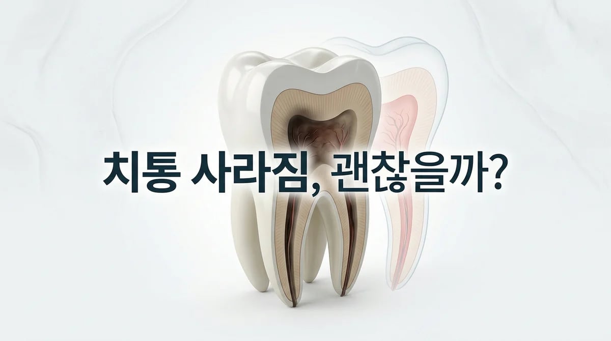 치수 괴사 증상 단계별 이해: 통증 소실의 진짜 의미