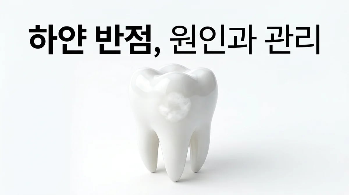 치아 백반현상: 하얀 점의 3가지 원인과 관리 방법 완벽 가이드