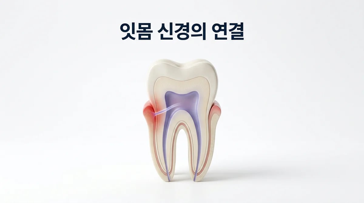 치주소파술과 신경치료: 잇몸과 치아 신경의 복합 문제 이해하기
