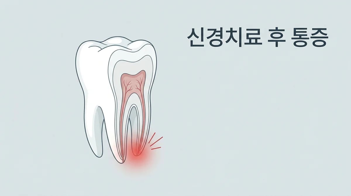 신경치료 후 통증, 정상일까? 원인과 현명한 대처 가이드