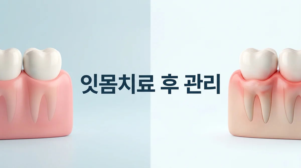 잇몸치료 후 불편감, 시린 증상 현명하게 대처하는 회복 가이드