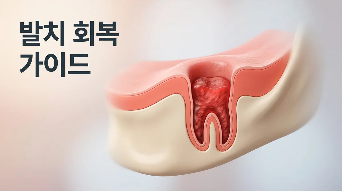 치아 발치 후 회복 과정: 단계별 이해와 주의사항 가이드