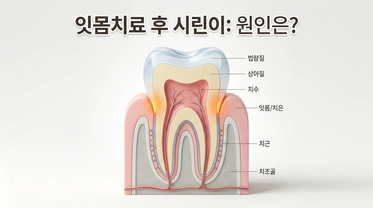 잇몸치료 후 지속되는 치아 시림, 원인과 5가지 해결책