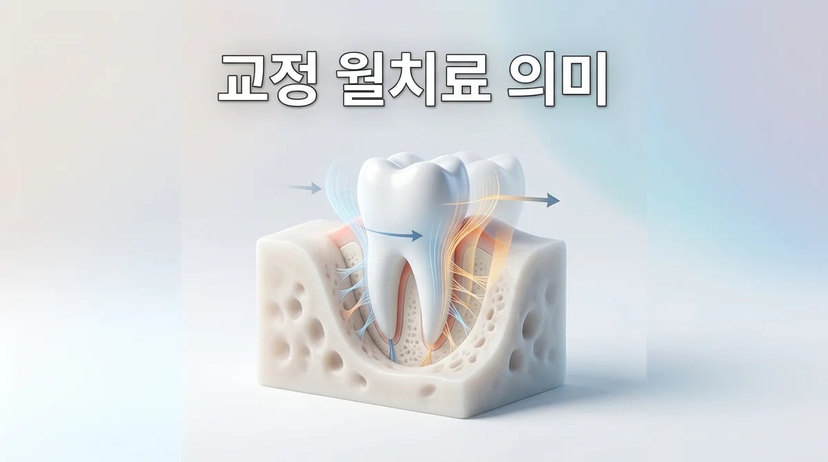 치아 교정 월치료, 왜 4주마다 가야 할까? 내원 주기와 조정의 의미