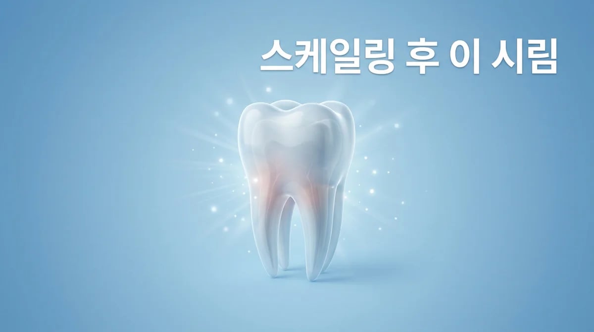 스케일링 후 이 시림 증상: 흔한 원인 분석 및 현명한 대처 가이드