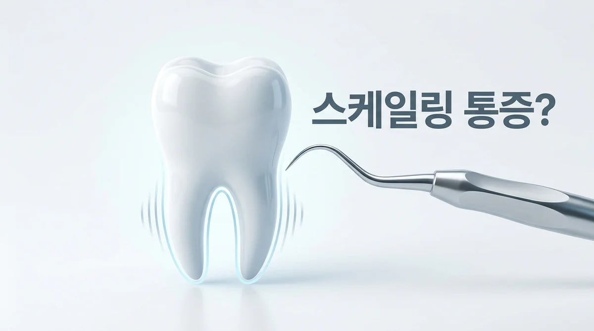 스케일링 통증 원인과 대처법: 시린 이유와 해결 가이드