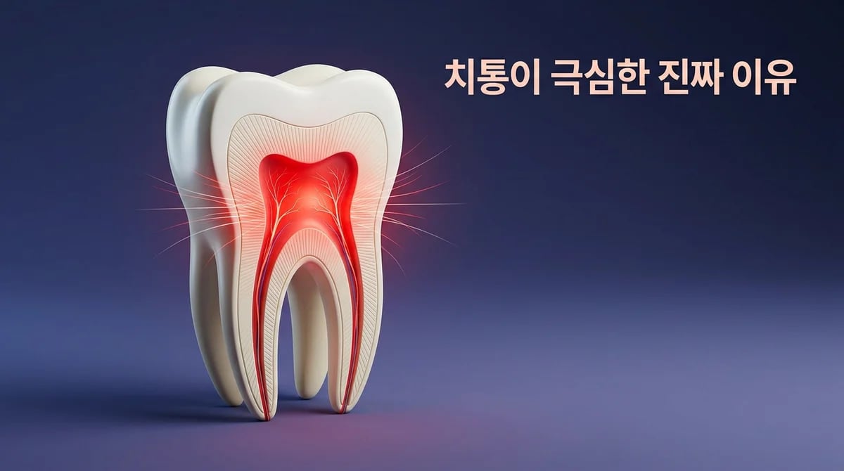 극심한 치통, 왜 이렇게 아플까? 치아 내부 압력과 염증의 관계