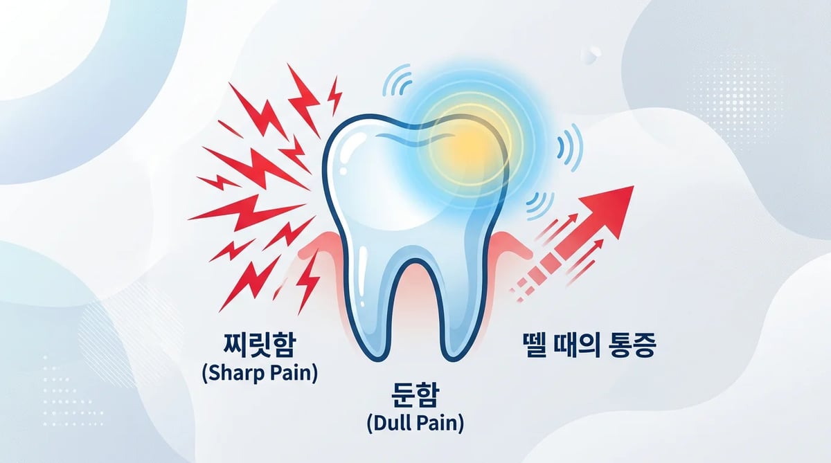 치아 통증 유형별 시각화 일러스트