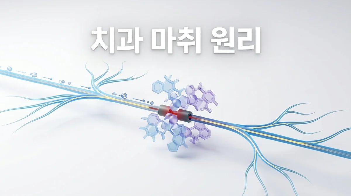 치과 마취 불안감 해소: 리도카인 전달마취의 과학적 원리와 안전성 이해