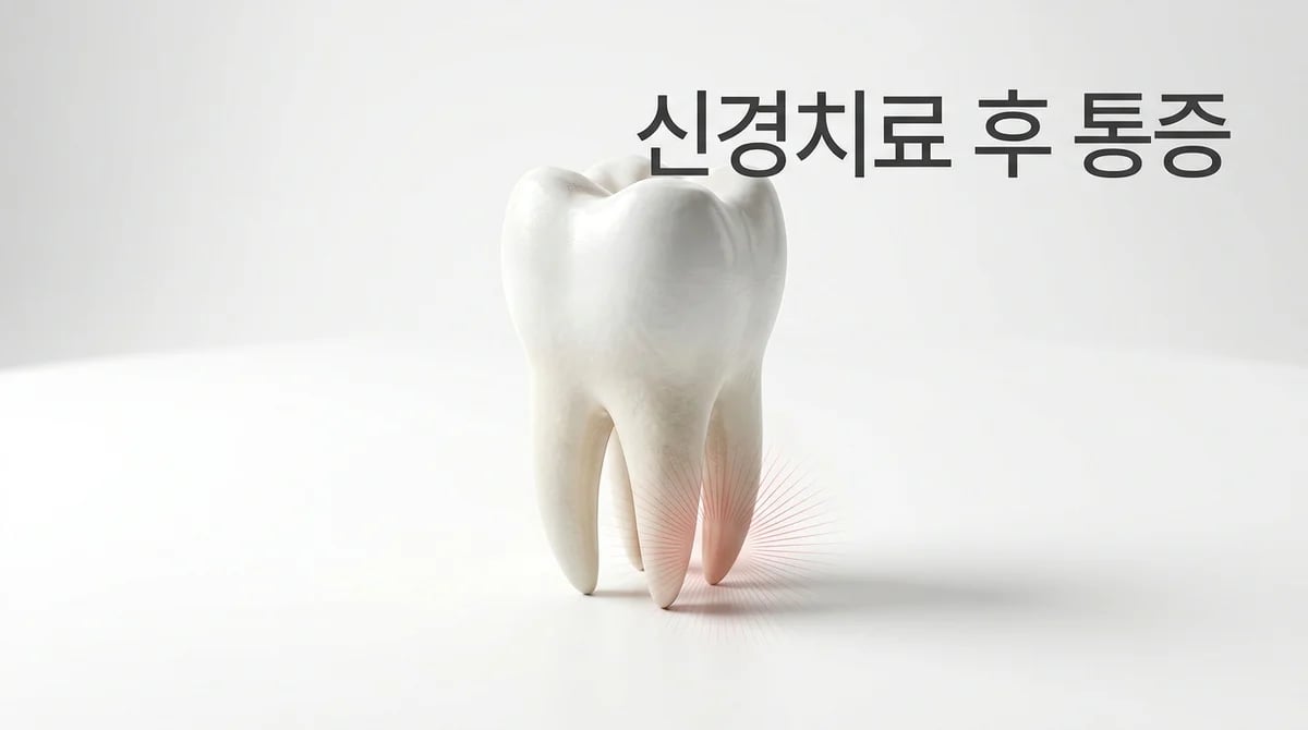 신경치료 후 통증, 원인과 회복 기간별 관리법 및 주의사항