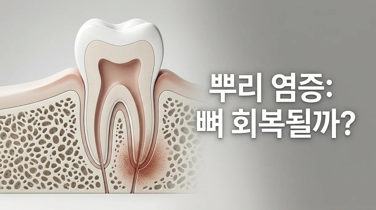 치아 뿌리 염증: 잇몸뼈 흡수 과정과 회복 가능성 심층 분석