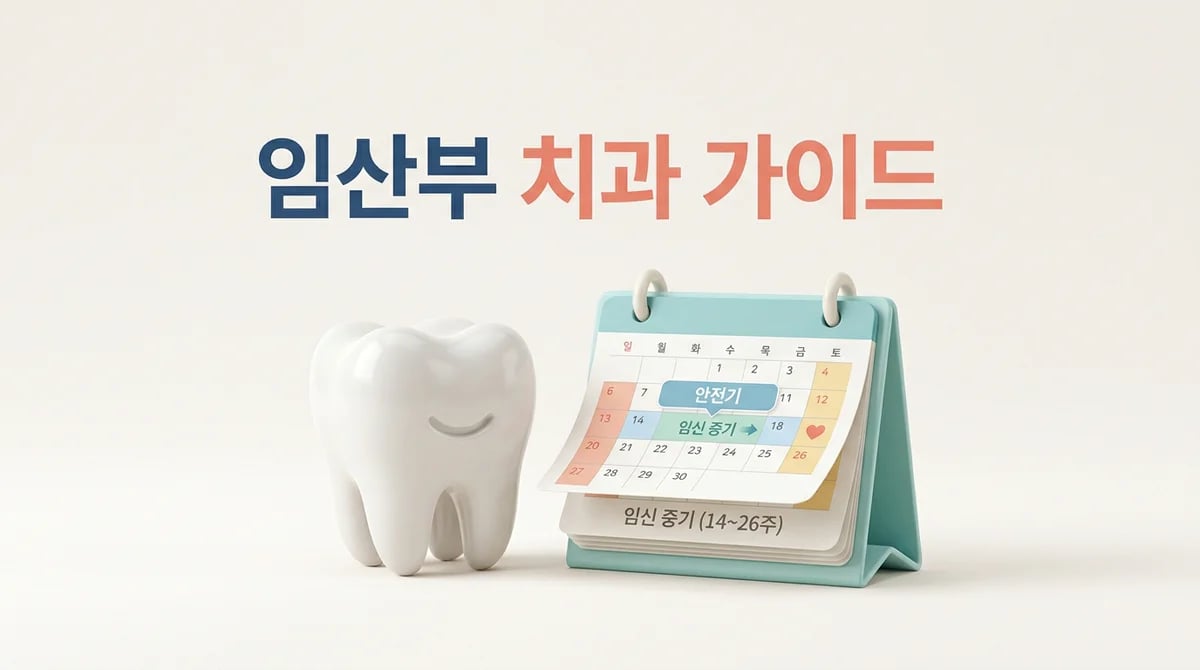 임산부 치과 치료, 안전한 시기와 주의할 점 총정리
