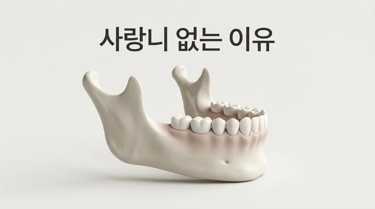 사랑니가 없는 이유: 선천적 결손 유병률과 진화적 의미 분석