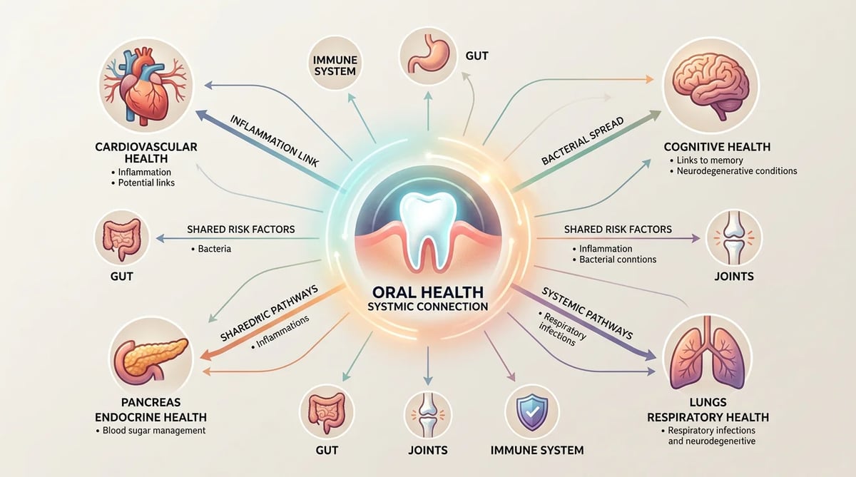 구강 건강과 당뇨, 심혈관 질환 등 전신 건강 간의 연관성을 나타내는 추상적 인포그래픽