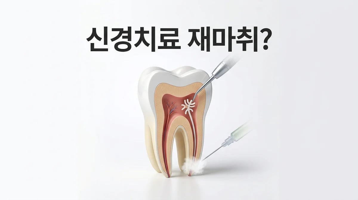 신경치료 후 마취, 언제 다시 필요할까요? 단계별 필요성 가이드