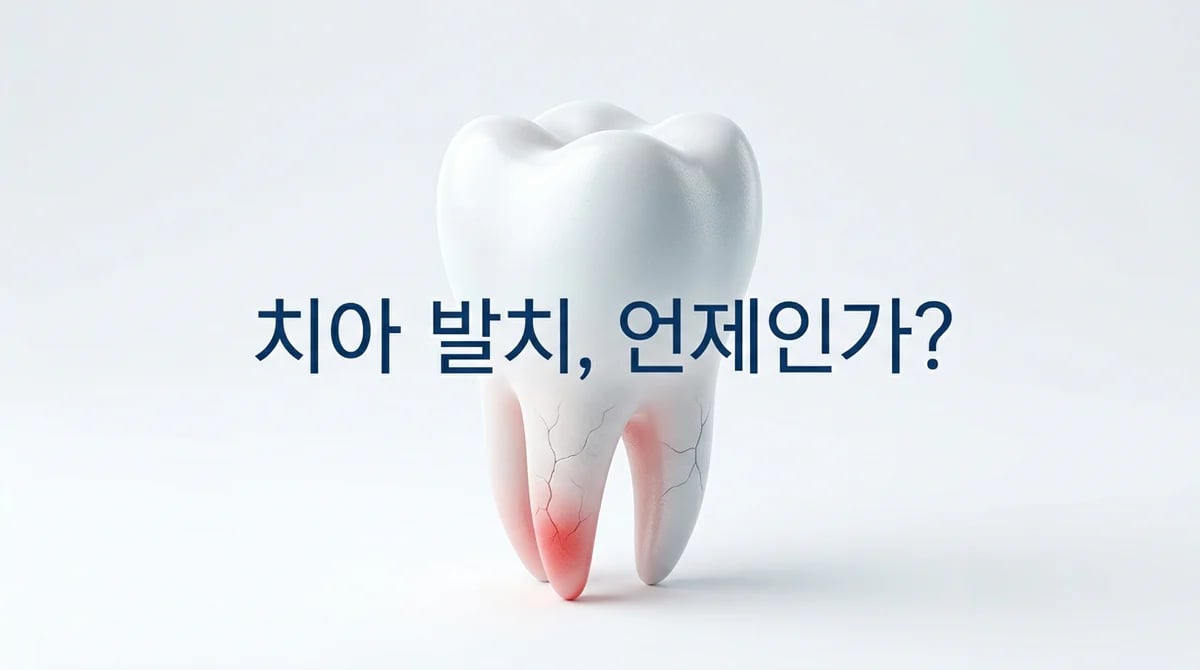 만성 치아 염증, 언제 발치를 고려해야 할까요? 치아 예후로 판단하는 기준