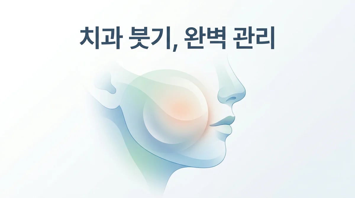 치과 치료 후 붓기 관리: 과학적 원리 이해와 시기별 완화 전략