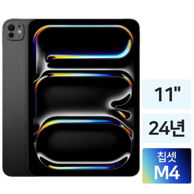 아이패드 프로 M4 11인치 Wi-Fi 256GB