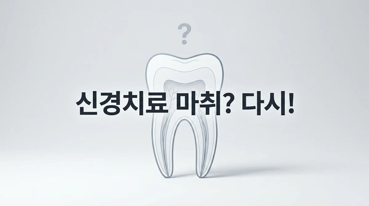 신경치료 후 마취, 꼭 필요할까? 4가지 임상 기준과 치아 감각 해설