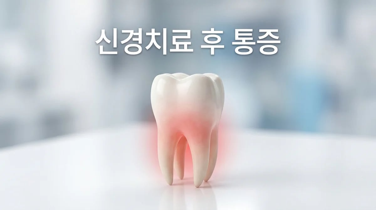 신경치료 후 통증: 원인 분석 및 시기별 현명한 관리 가이드