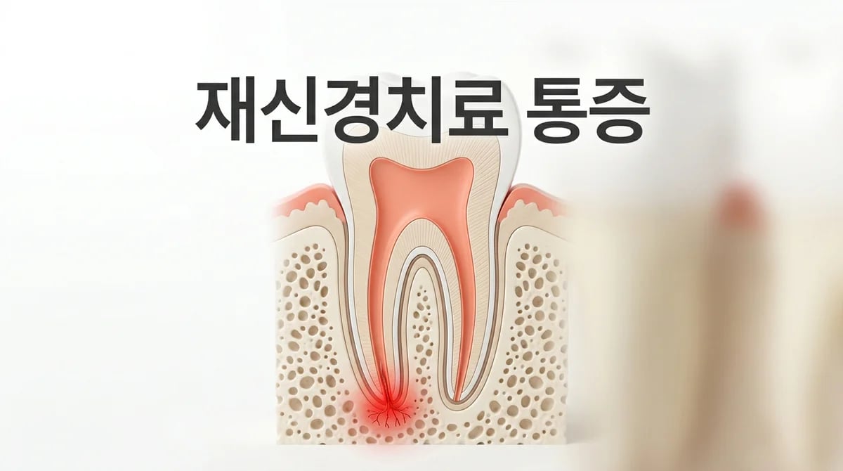 재신경치료 후 통증: 발생 원인 분석 및 현명한 관리법