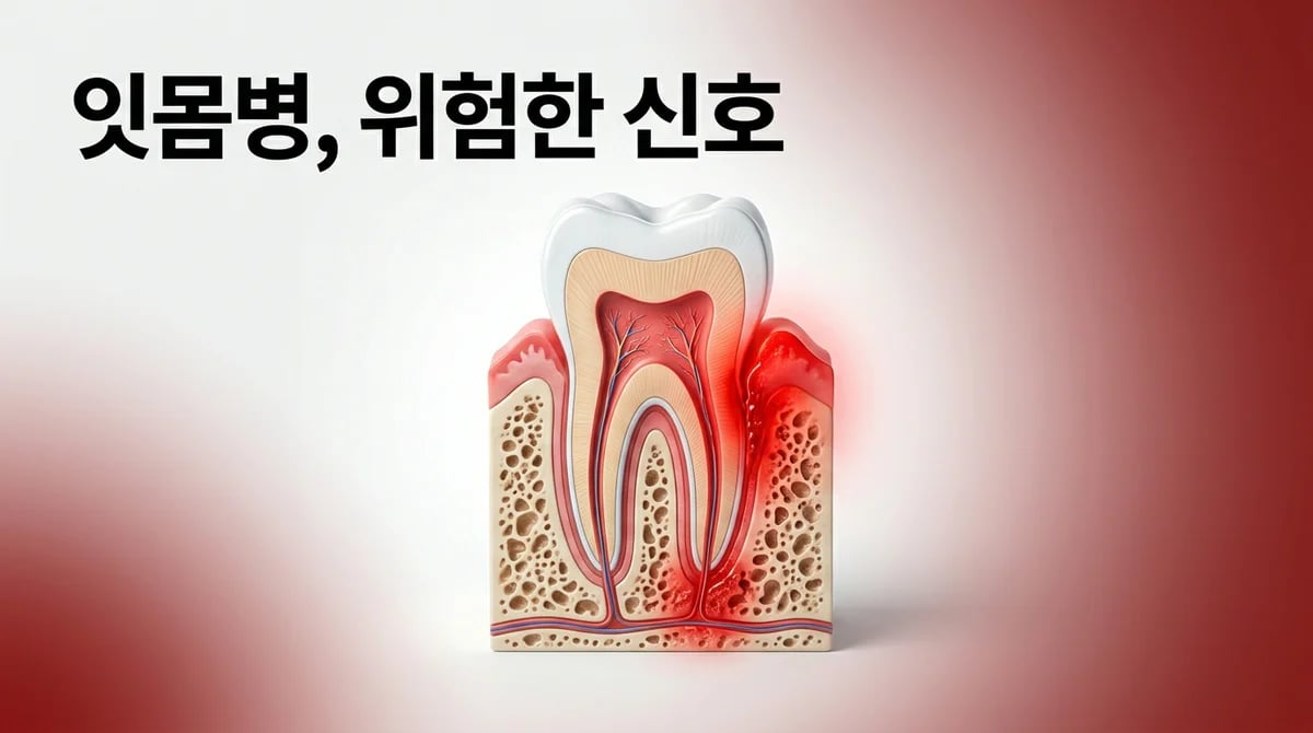 치아 염증 방치, 잇몸 건강과 치조골 손상 단계별 위험 분석