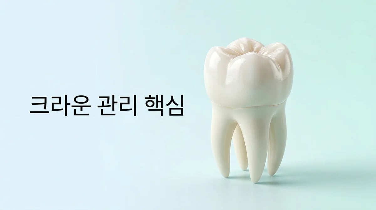 치아 크라운 수명 연장: '평균 10년' 넘어 오래 쓰는 관리법