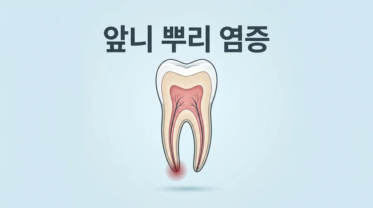 앞니 뿌리 염증의 모든 것: 원인부터 진단, 단계별 치료법까지