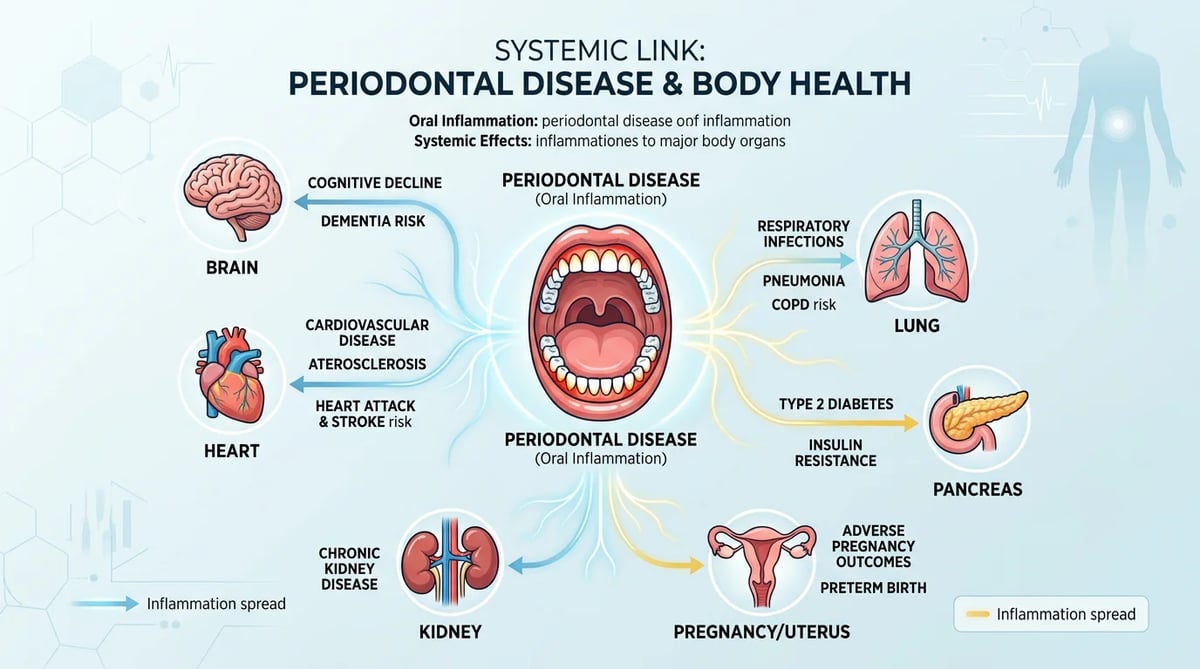 치주질환과 전신 건강(심혈관 질환, 당뇨병 등)의 연관성을 보여주는 개념도