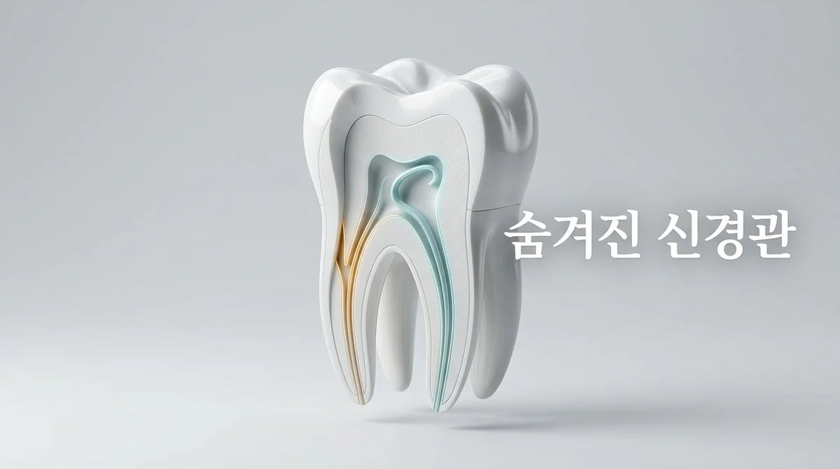 복잡한 어금니 신경관 변이: 성공적인 신경치료를 위한 이해