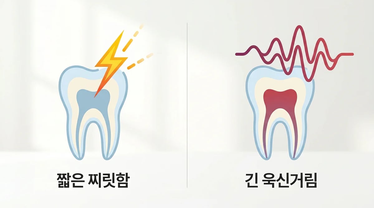 치아 통증 지속 시간에 따른 원인 구별 인포그래픽