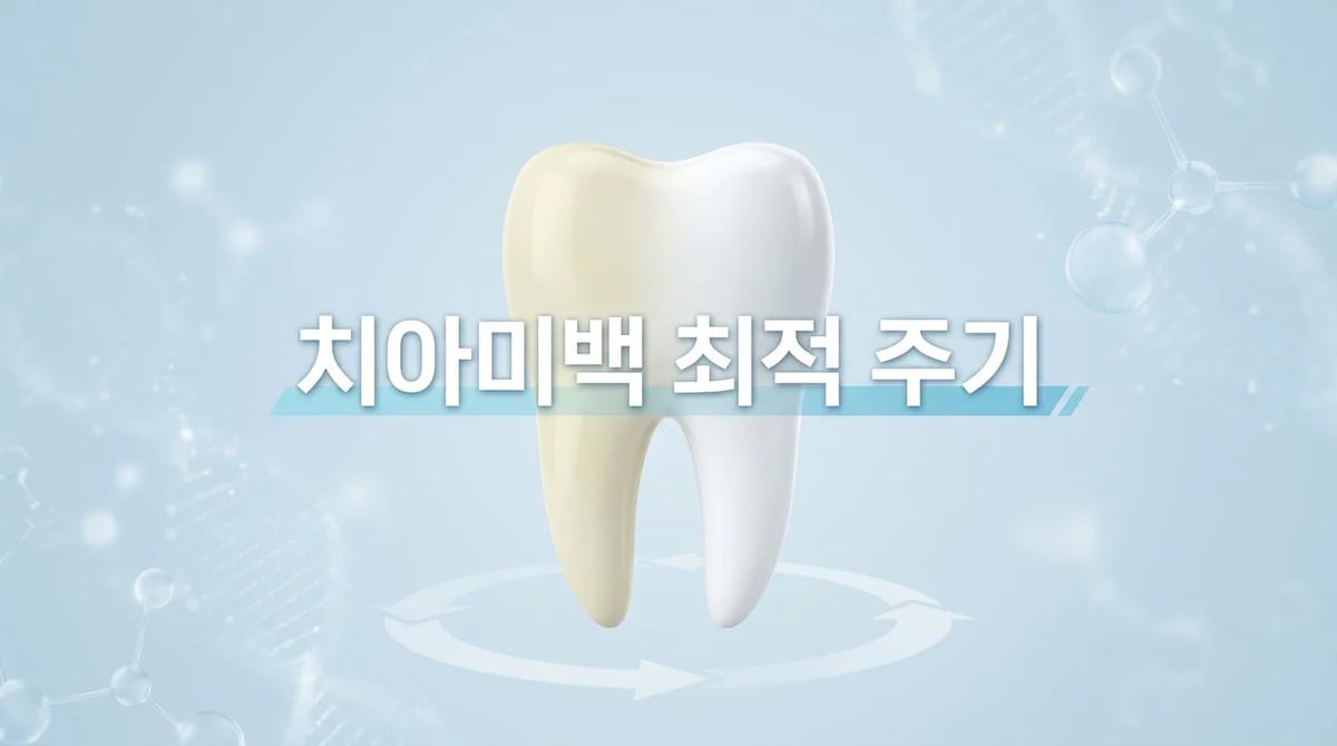 치아미백 주기: 안전하고 효과적인 최적 시술 간격은?