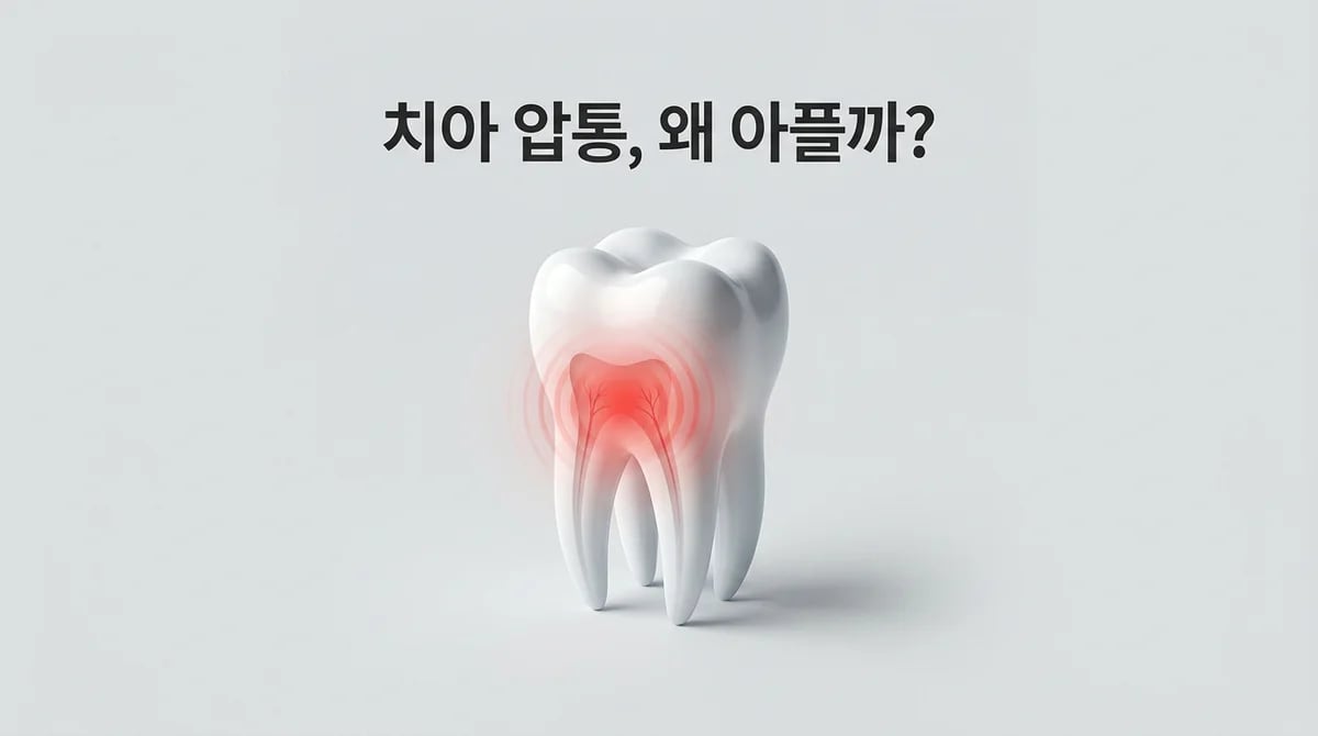 치아 누르면 아플 때: 5가지 주요 압통 원인과 치과 진단