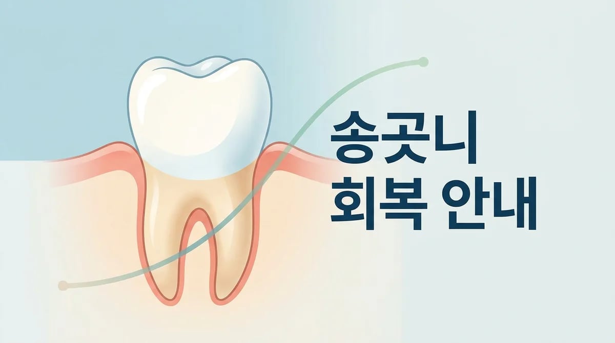 매복 송곳니 발치 후 통증과 회복: 단계별 관리 완벽 가이드