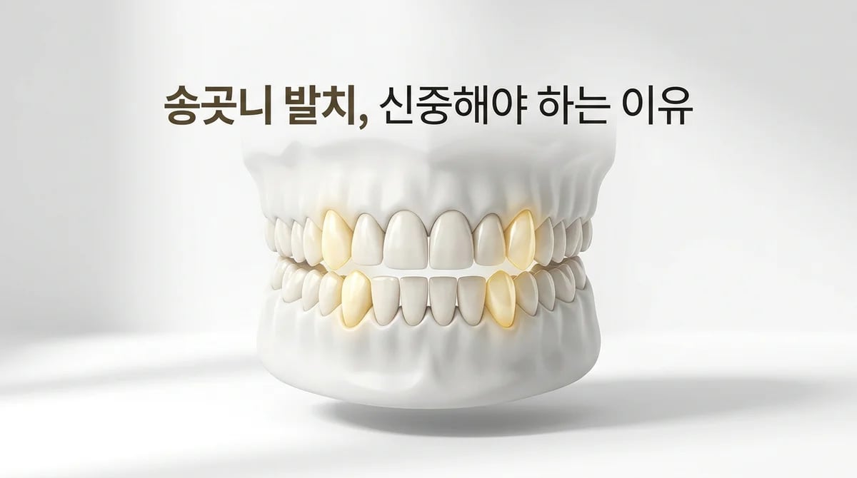 송곳니(견치) 발치 전 알아야 할 3가지: 중요성 및 발생 가능 문제