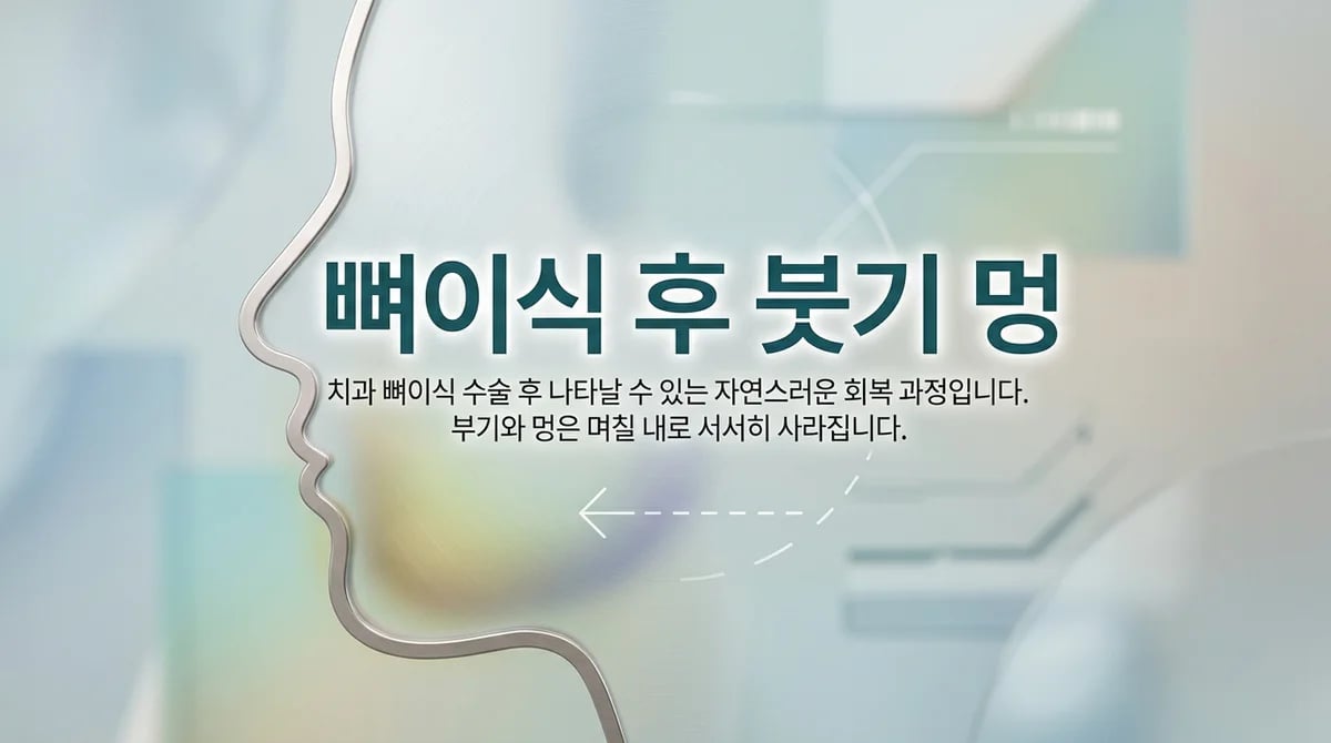 치과 뼈이식 후 부기와 피멍, 7일간의 정상 회복 과정과 관리법