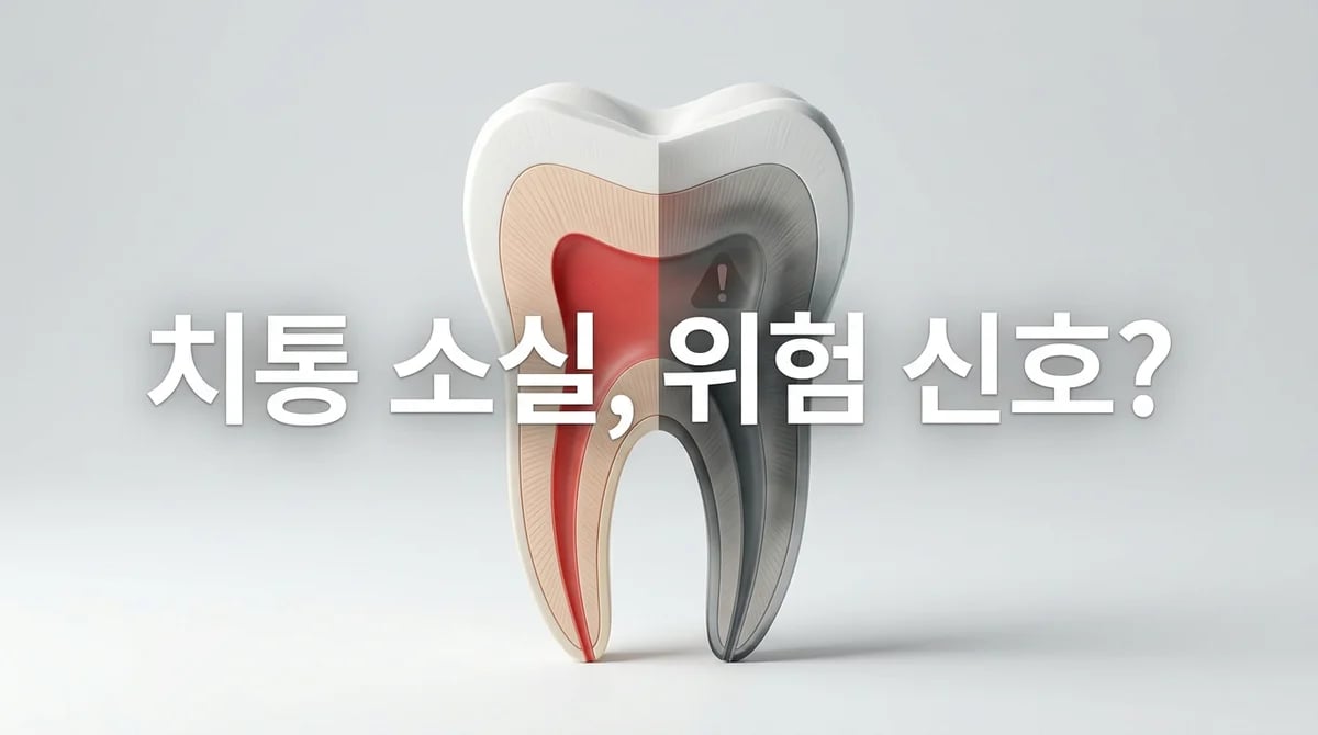 급성 치수염 통증 소실, 방치하면 위험? 치아 감염 3단계 진행 과정