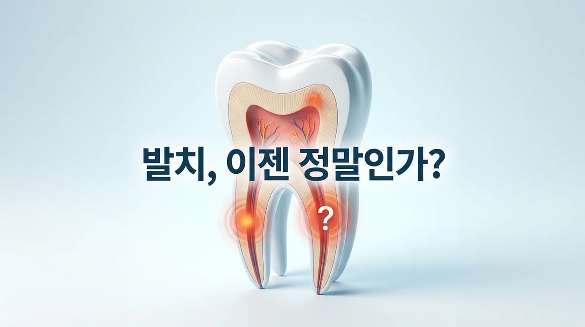 재신경치료 실패 후 발치: 언제, 어떤 기준으로 결정해야 할까요?