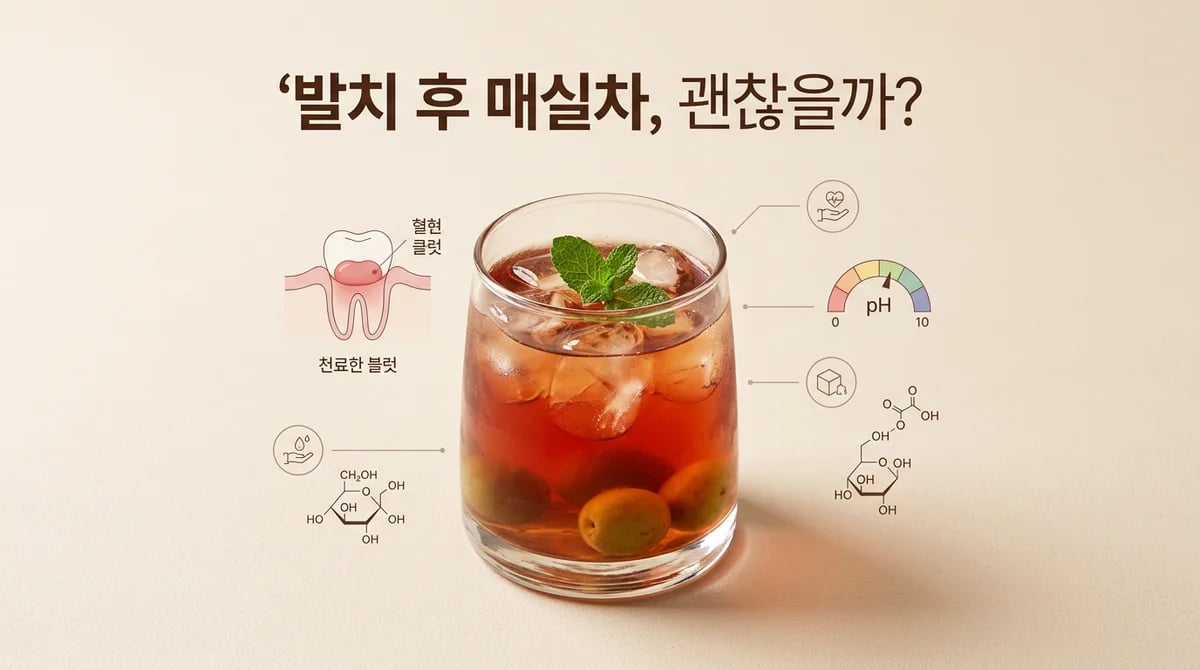 발치 후 매실차 마셔도 될까? 혈병 보호와 회복 72시간 가이드