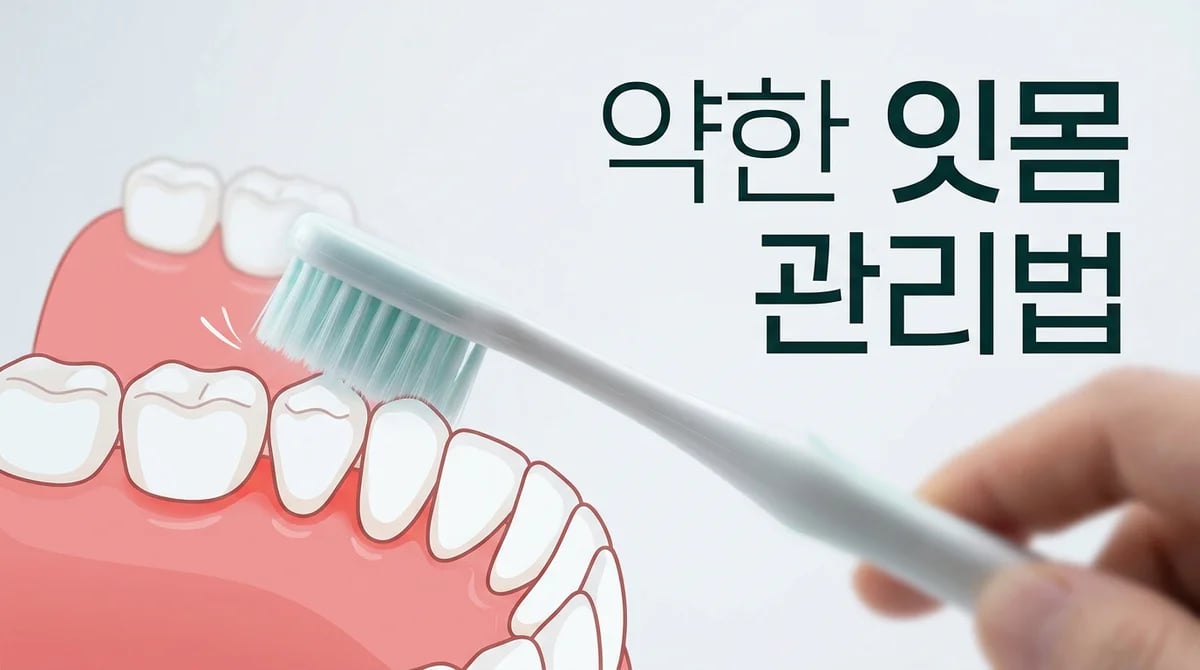 약한 잇몸을 위한 5가지 현명한 관리법과 주의사항