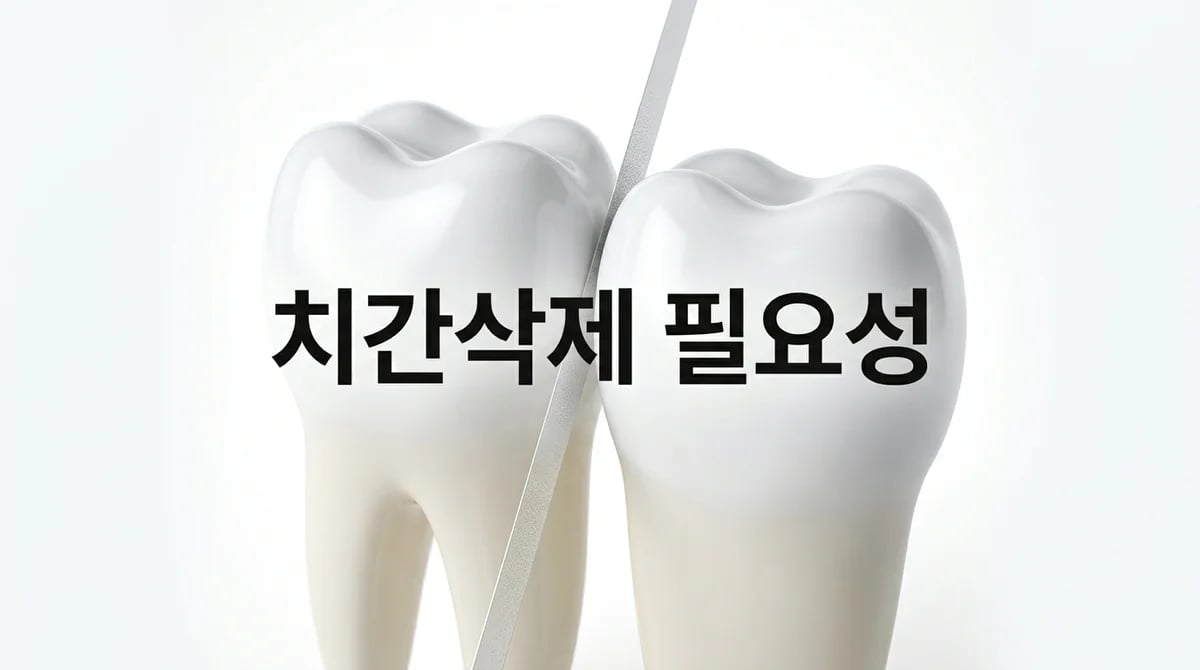 치아교정 중 치간삭제(IPR) 왜 필요할까? 안전성부터 과정까지