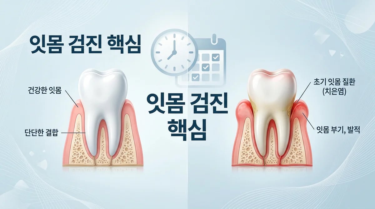 잇몸 건강, 치과 검진 주기: 당신에게 맞는 최적의 주기는?