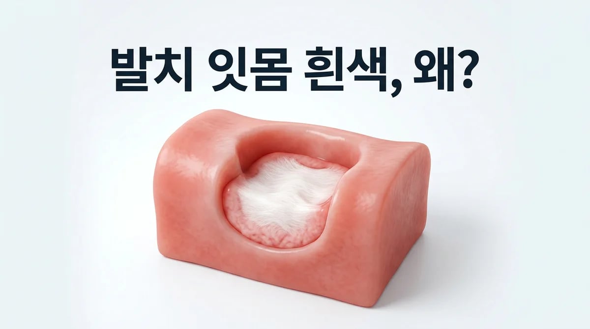 발치 후 잇몸의 흰색, 정상일까? 4가지 회복 과정과 주의 신호