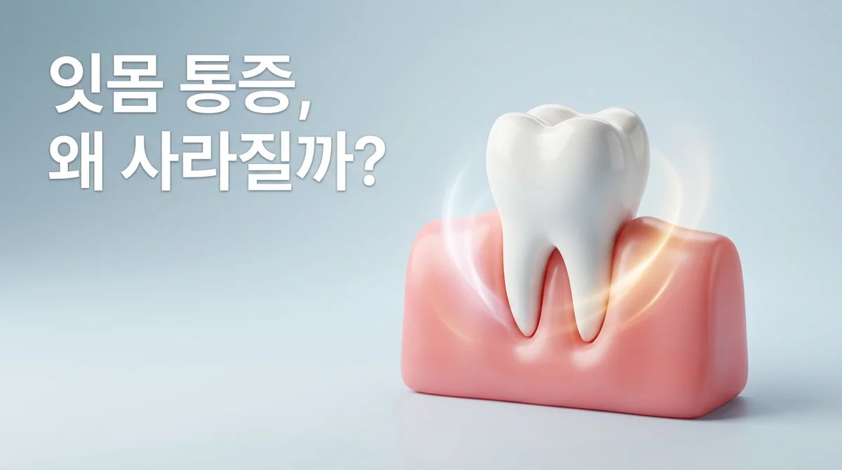 잇몸 치료 후 통증, 왜 완화될까요? 염증 감소의 과학적 원리